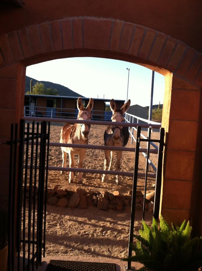 Full Circle Ranch B&B Inn Cave Creek Esterno foto
